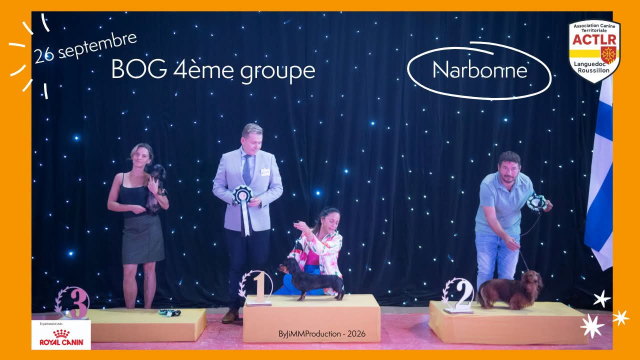 Exposition canine de Narbonne 26/09/2026